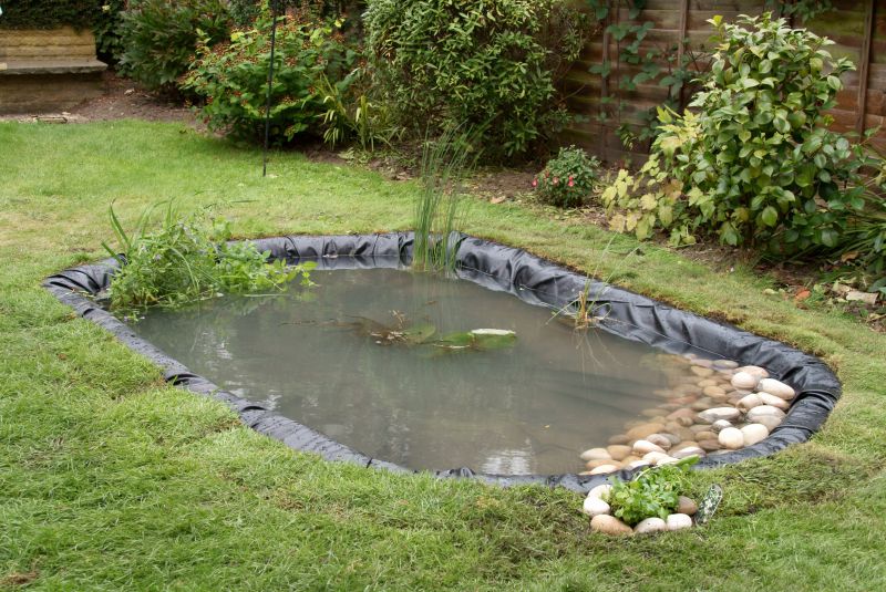 Fish Pond Installation in Ventura County, CA