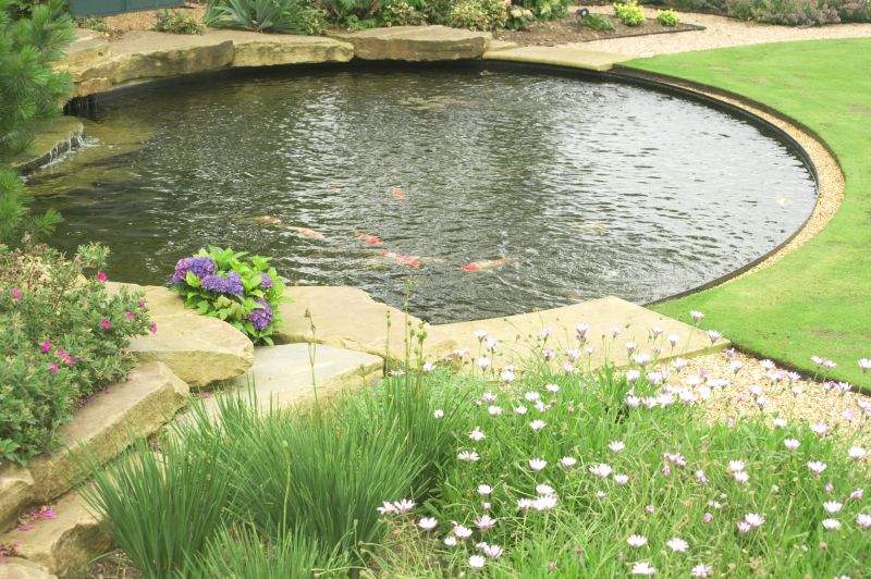 Koi Pond Construction in Ventura County, CA