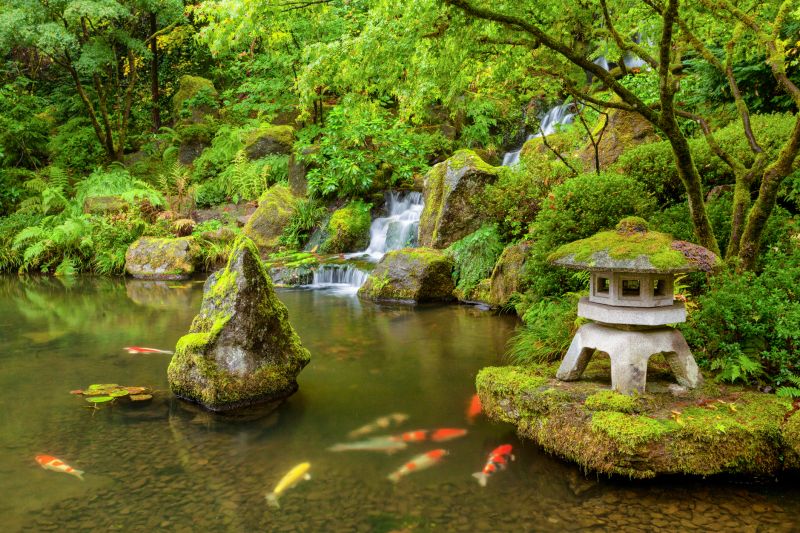 Koi Pond Installation in Honolulu, HI