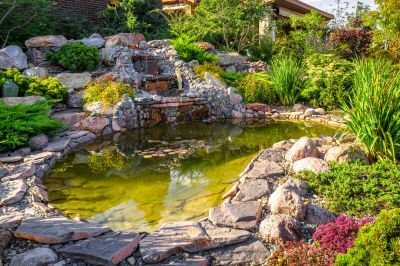 Local Pond Installation in Georgetown, TX