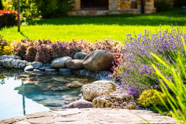 Garden Pond Installation Service