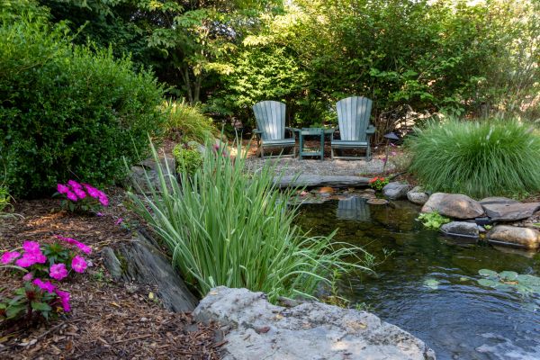 Pond Construction Service